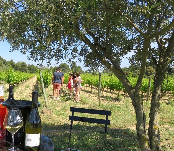 visite-guidee-vin-winetour-carcassonne-minervois-corbieres-cabardes-malepere
