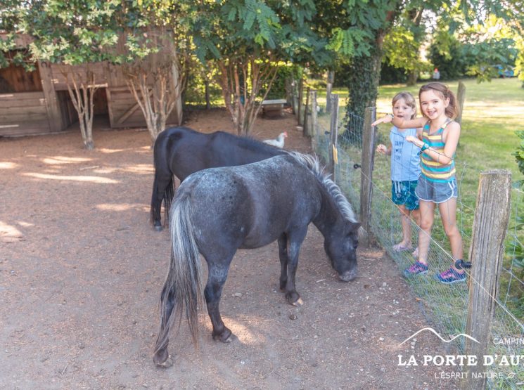 poneys  – Saissac – camping Porte Autan